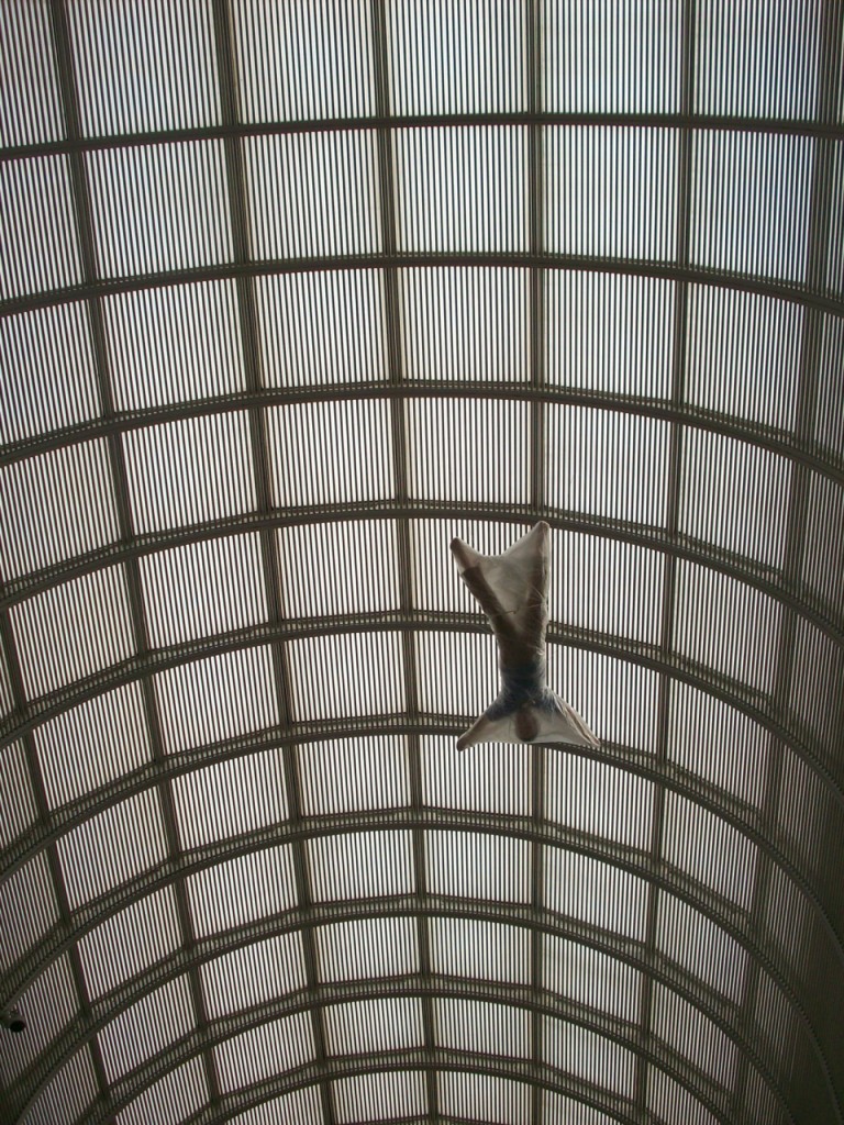 flyingman